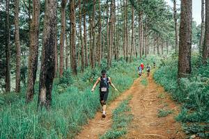 BIB: 
                            <button type="button" onclick="openModal(25661232)" class="btn btn-primary btn-sm float-right btn-popup" data-toggle="modal" data-target=".modal-high-quality">
                        <i class="fas fa-shopping-cart"></i> Add to Cart
                    </button>
                                            <button type="button" onclick="isThisMe(25661232, true)" class="btn btn-success btn-sm float-right btn-popup btn-isme hidden" data-toggle="tooltip" data-placement="bottom" title="นี่คือรูปของคุณใช่ไหม คลิกที่นี่เพื่อเอาเข้าอัลบั้ม">
                        <i class="fas fa-plus"></i> Add to album
                    </button>
                    <button type="button" onclick="isThisMe(25661232, false)" class="btn btn-warning btn-sm float-right btn-popup btn-isnotme hidden">
                        <i class="fas fa-ban"></i> Remove from album
                    </button>